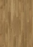 ДУБ STORY 138 ELEGANT