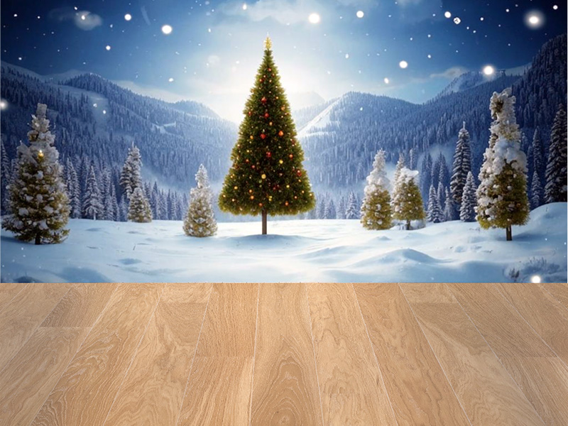 С Новым годом и Рождеством!