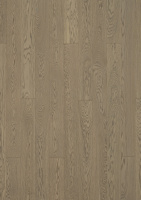 ДУБ STORY 138 CORSICA