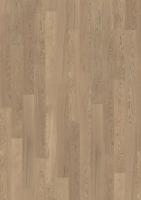 ДУБ 4 STORY 138 TENDER WHITE