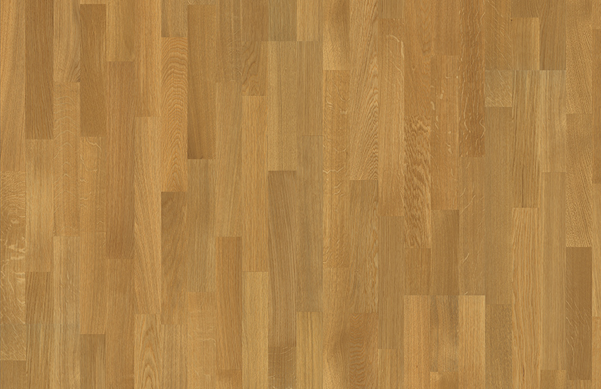 ДУБ ОТБОРНЫЙ