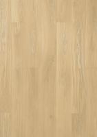 ДУБ STORY DAISY DEEP MATT